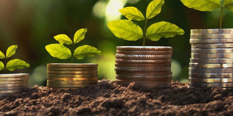 Anlagetipps: Eine kleine Auswahl