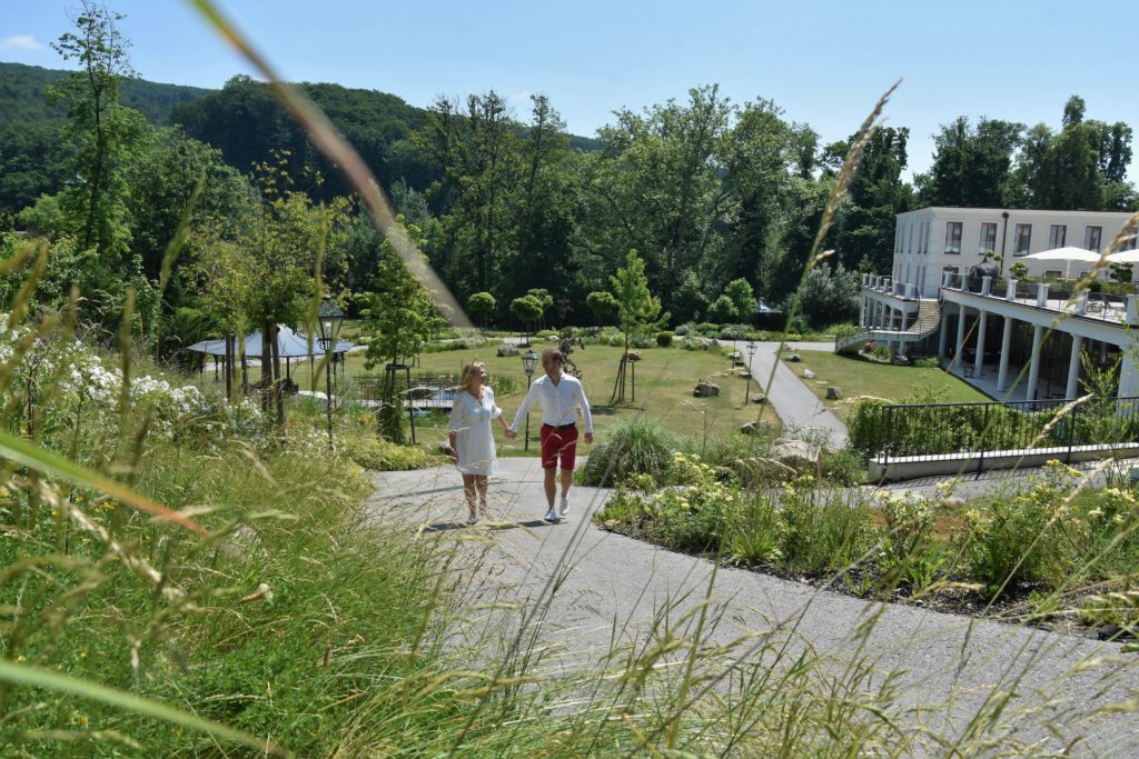 Prädikat außergewöhnlich: Regeneration im Wienerwald