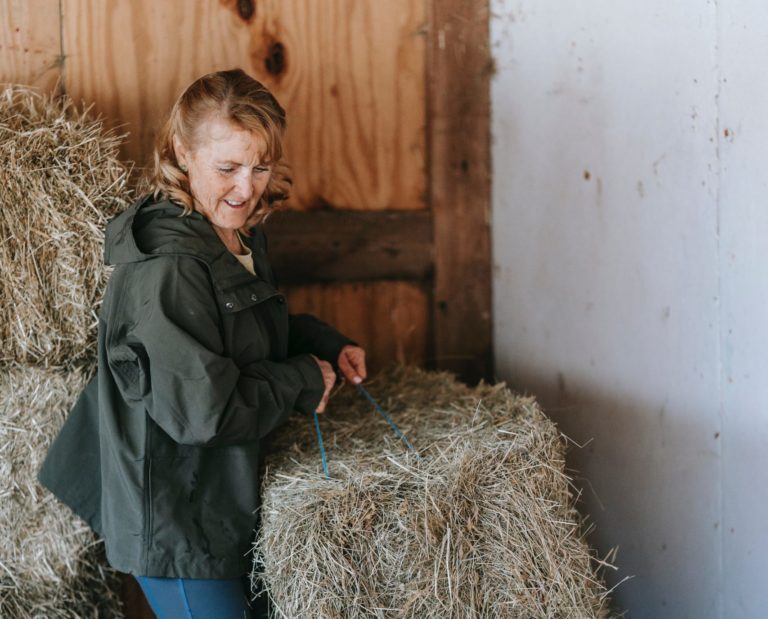 Ökosoziale Steuerreform – Erleichterung für Landwirtschaft und Familien
