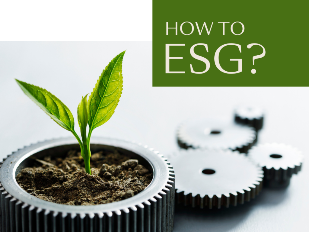 10 konkrete Tipps für mehr betriebliche Nachhaltigkeit