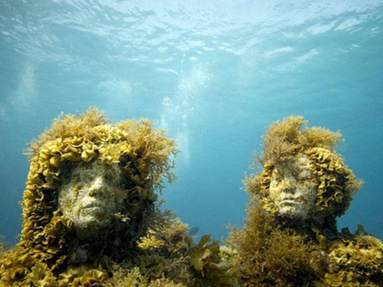 Erfolgsgeschichte 35 – Paolo Fanciulli rettet mit Kunst die Meeresbucht