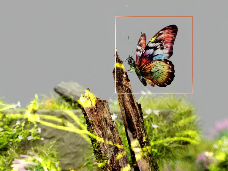 Ein Bollwerk für die Artenvielfalt