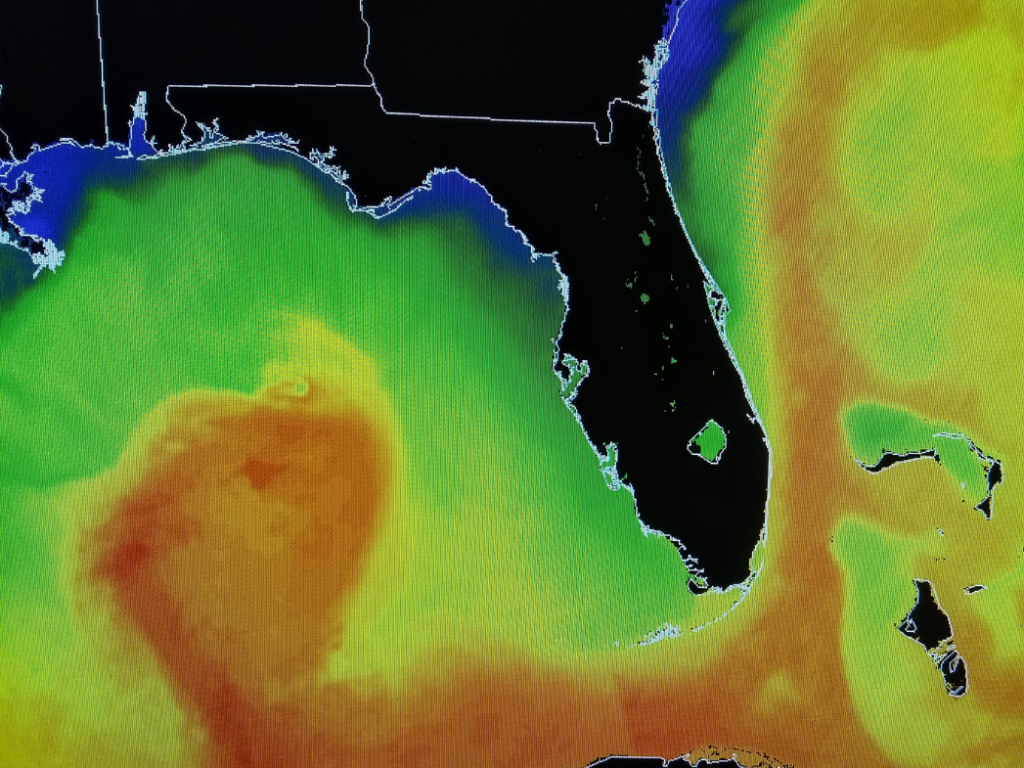Wieso nachhaltig nicht reicht