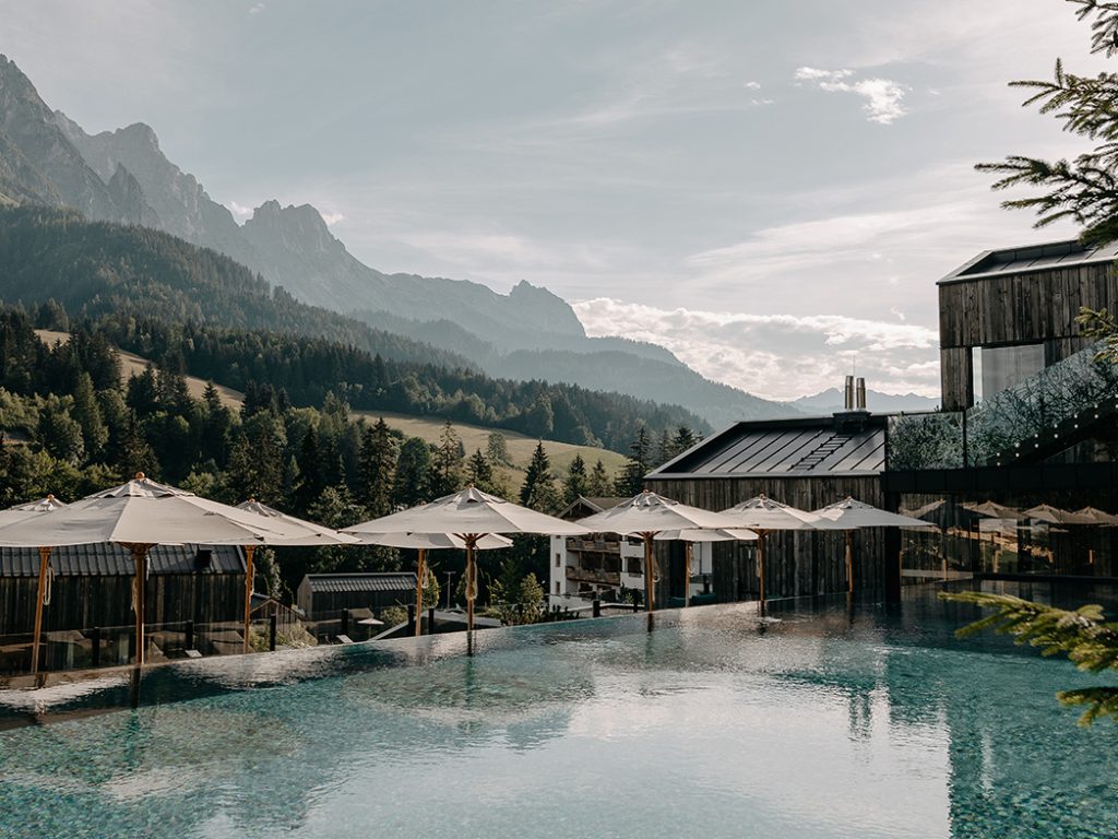 „Vom Baum zum Menschen“