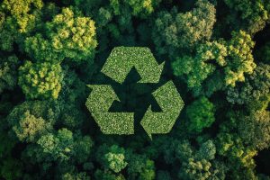 Europas zirkuläre Zukunft: Welche Start-ups jetzt die Kreislaufwirtschaft vorantreiben